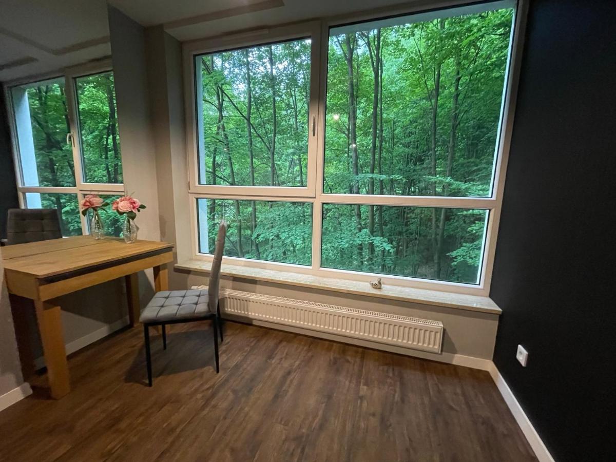 Apartament Kurort Kozubnik - Taras Nad Potokiem Porąbka Εξωτερικό φωτογραφία