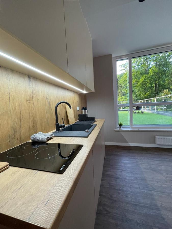 Apartament Kurort Kozubnik - Taras Nad Potokiem Porąbka Εξωτερικό φωτογραφία
