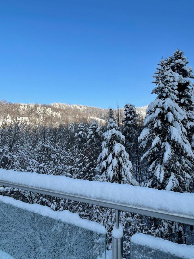 Apartament Kurort Kozubnik - Taras Nad Potokiem Porąbka Εξωτερικό φωτογραφία