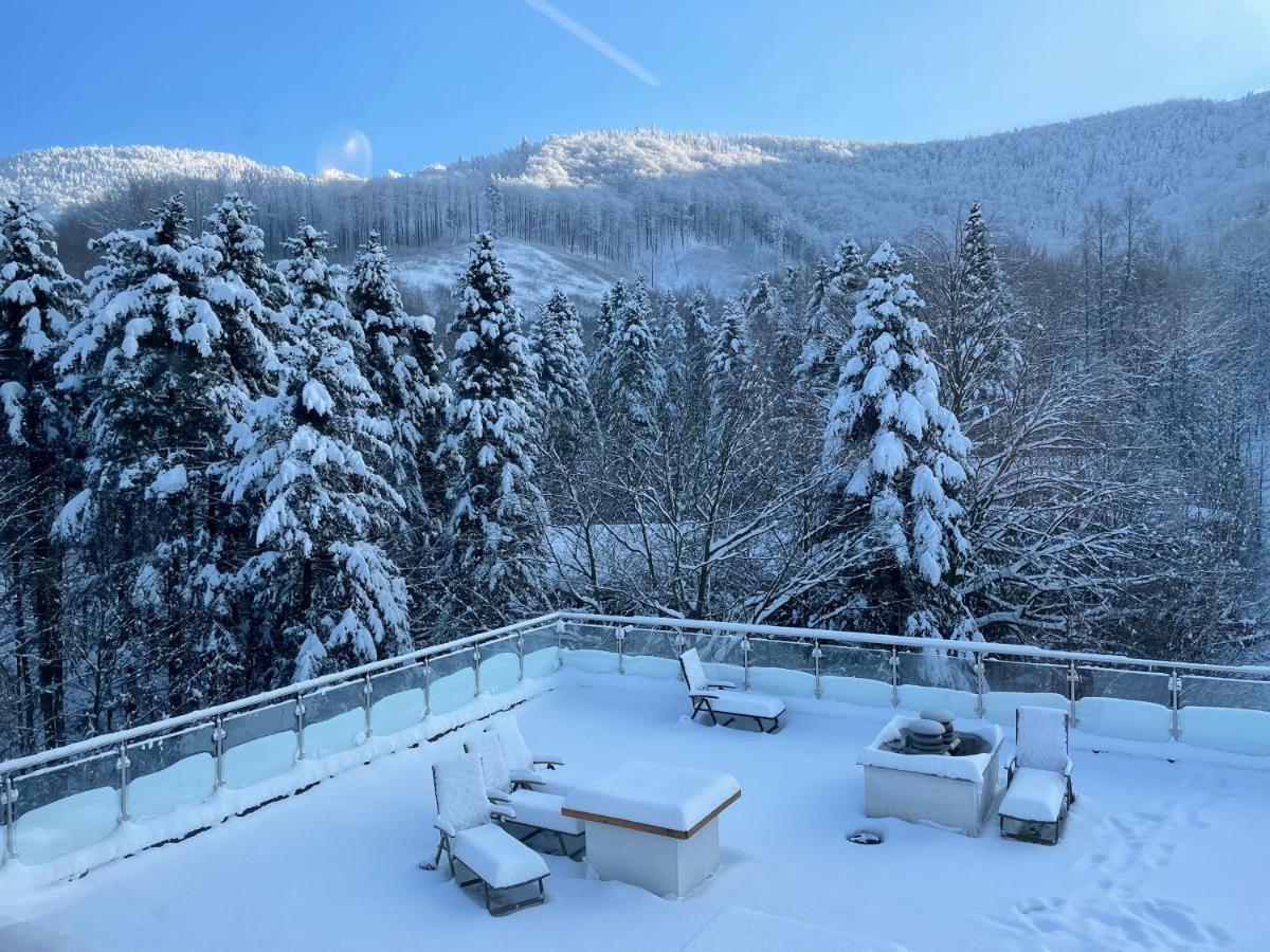 Apartament Kurort Kozubnik - Taras Nad Potokiem Porąbka Εξωτερικό φωτογραφία